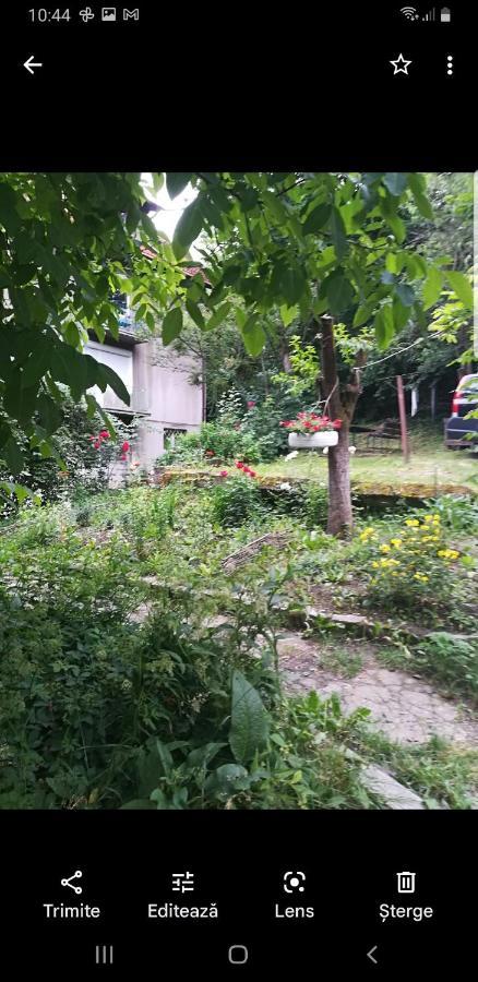 Apartament Simona Apartment Брашов Екстериор снимка
